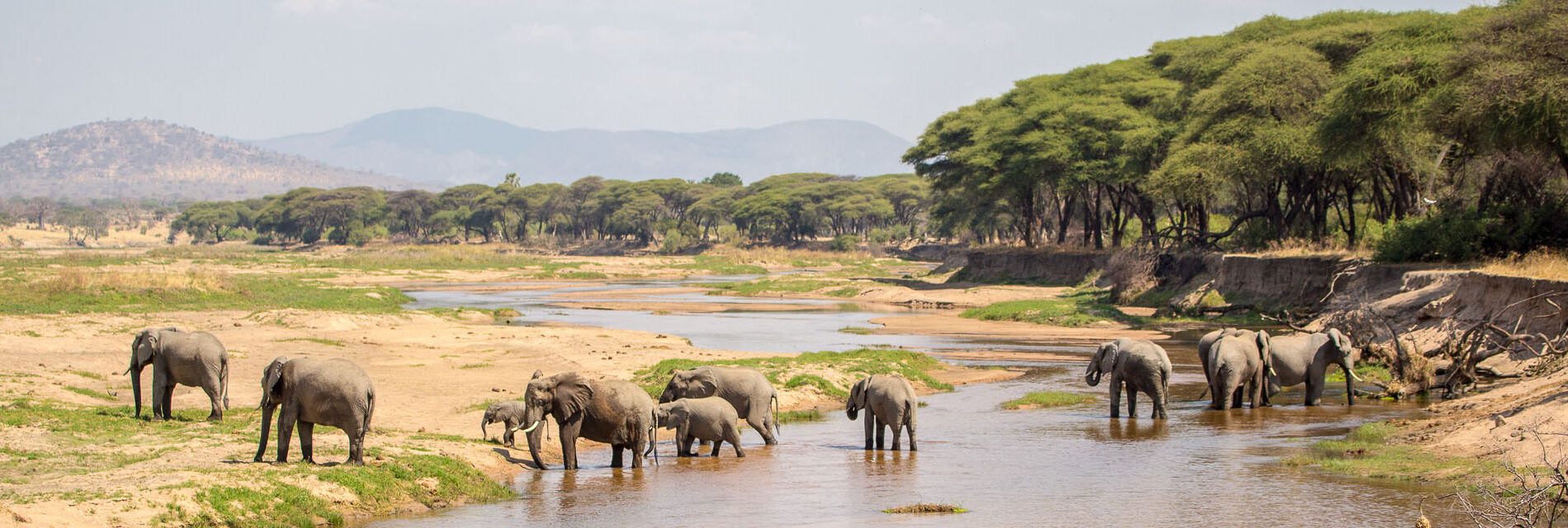 Tanzania's Southern Circuit Safari