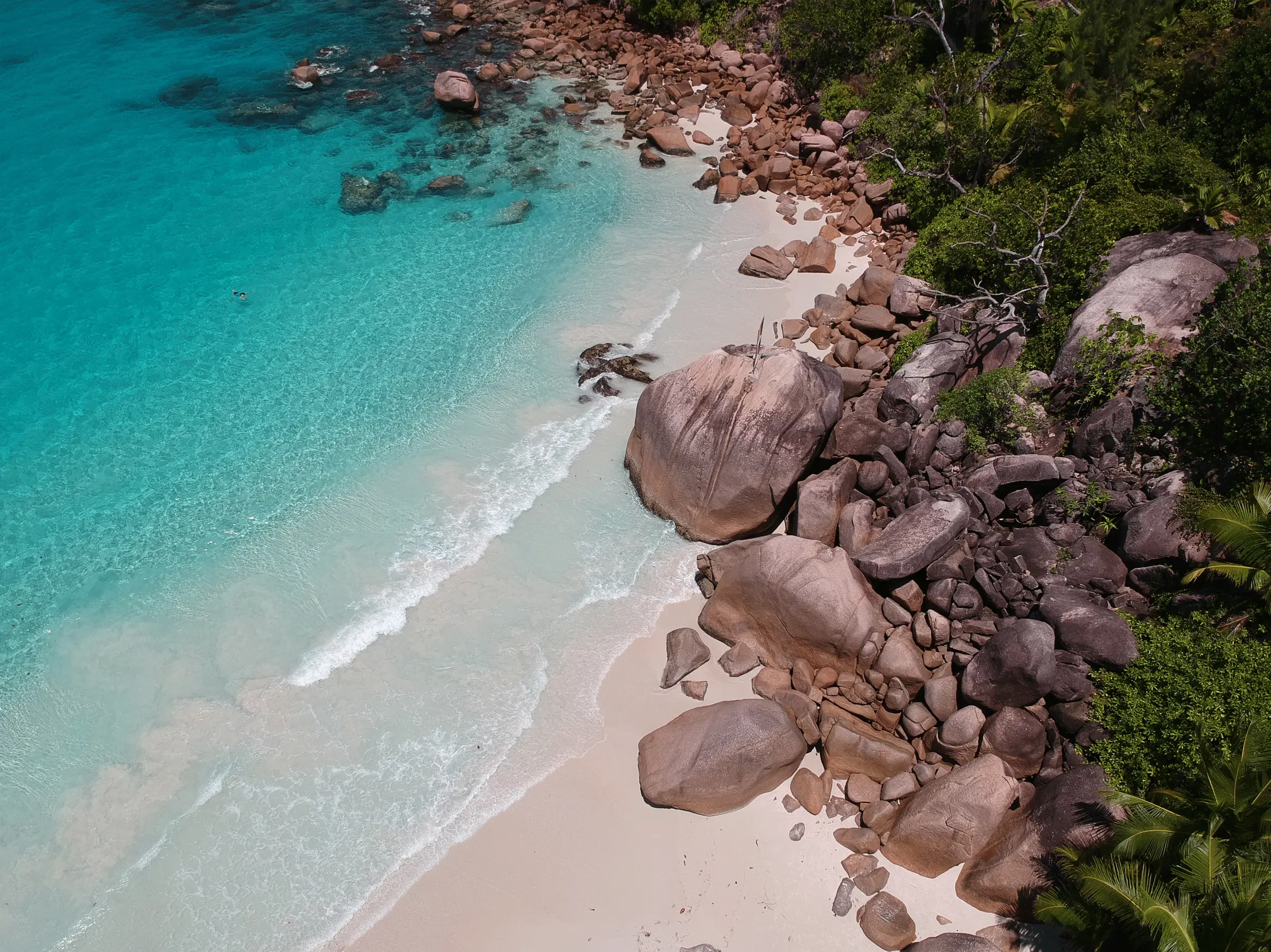 Island Paradise